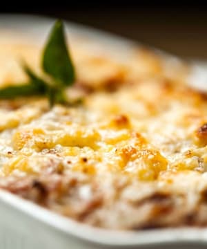 Lasanha de Alcachofra com Presunto de Parma