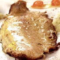 Saint-pierre com creme frio de azeite de oliva espanhol