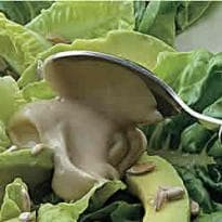 Salada crocante de alface e abacate com molho de maionese