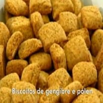 Biscoitos de Gengibre e Pólen