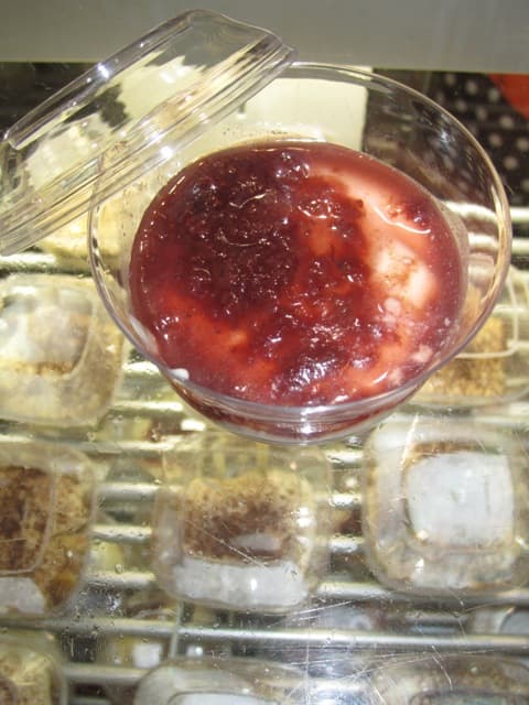 Panna Cotta Alle Fragole