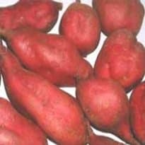 Batata-doce ao Aroma de Açafrão