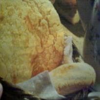 Pãezinhos de Milho e Mel