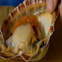 Vieiras com alho-poró e aspargos