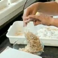 Doce de casca de laranja do Globo Rural