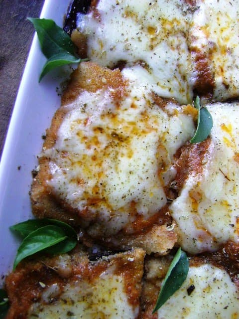 Berinjela Solitária