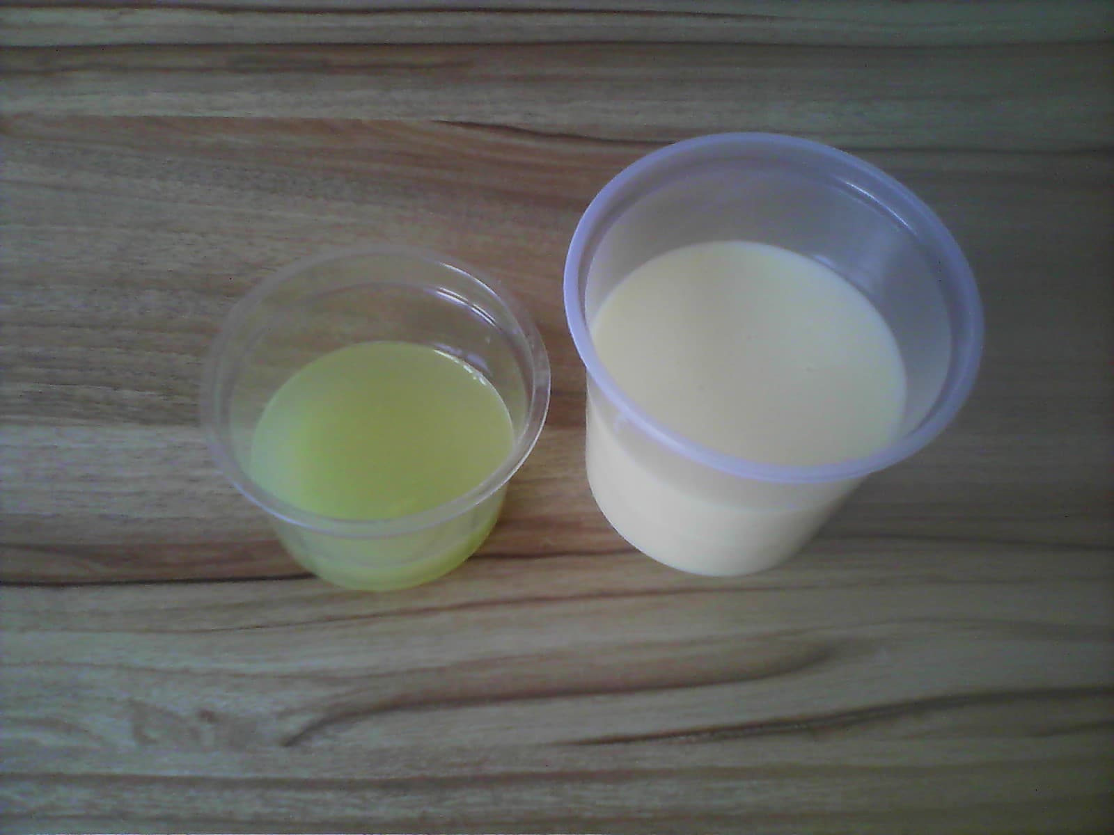 Foto por Talita Arrais