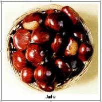 Castanhas Condimentadas