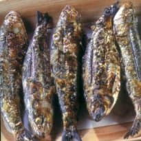 Sardinha na Brasa