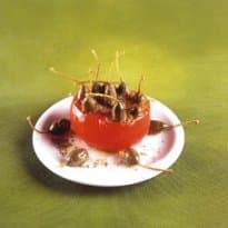 Tomate a Puerto Madero