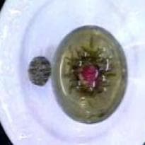 Risoto de Alcachofra do Edu Guedes