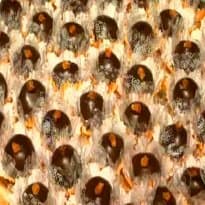 Bombom de Milho Verde do Globo Rural