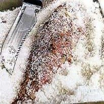 Peixe vermelho no sal grosso