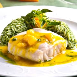 Robalo à Bossa Nova