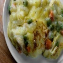 Creme de frango com legumes ao forno