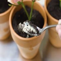 Sorvete Vaso de Planta