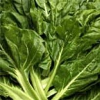 Salada de acelga com shoyu