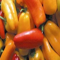 Geleia de Pimenta do Globo Rural