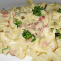 Macarrão ao molho branco na pressão