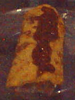 Panqueca de Milho Verde