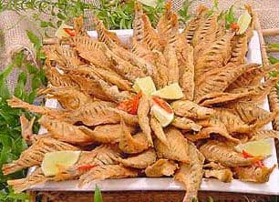 Lambari ou Manjubinha Sequinhos