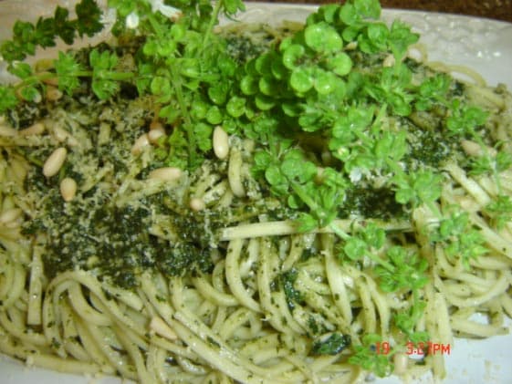 Tagliatelle ao pesto de manjericão