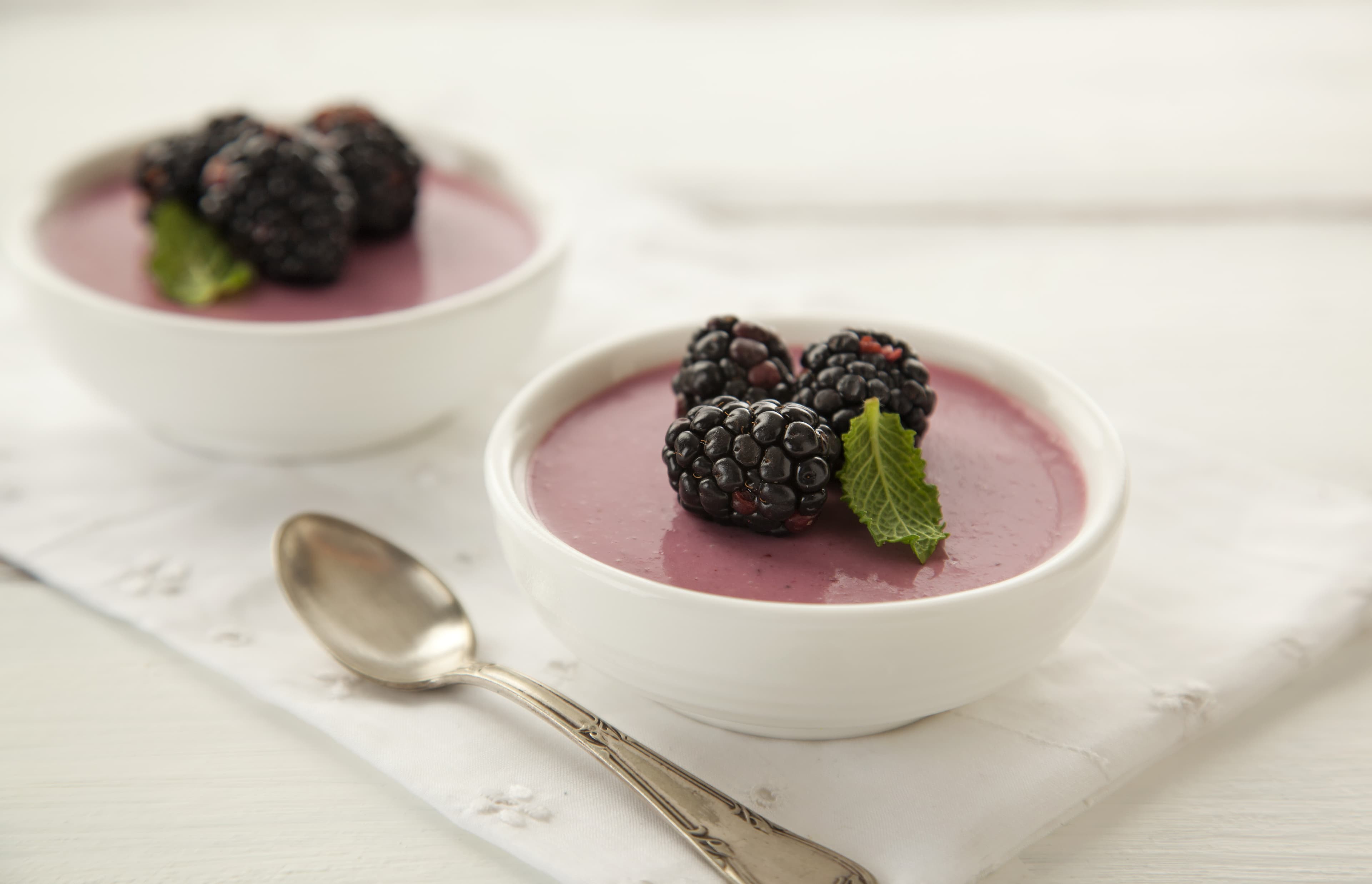 Mousse de Amora Zero Lactose