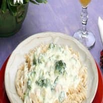 Macarrão light com brócolis