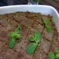 Quibe Assado do Edu Guedes