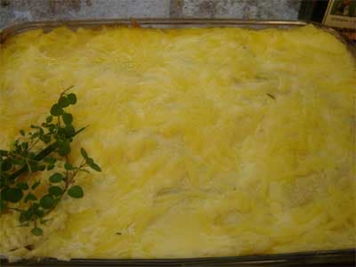 Lasanha de Espinafre