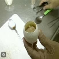 Flã de Ovo do Jornal Hoje