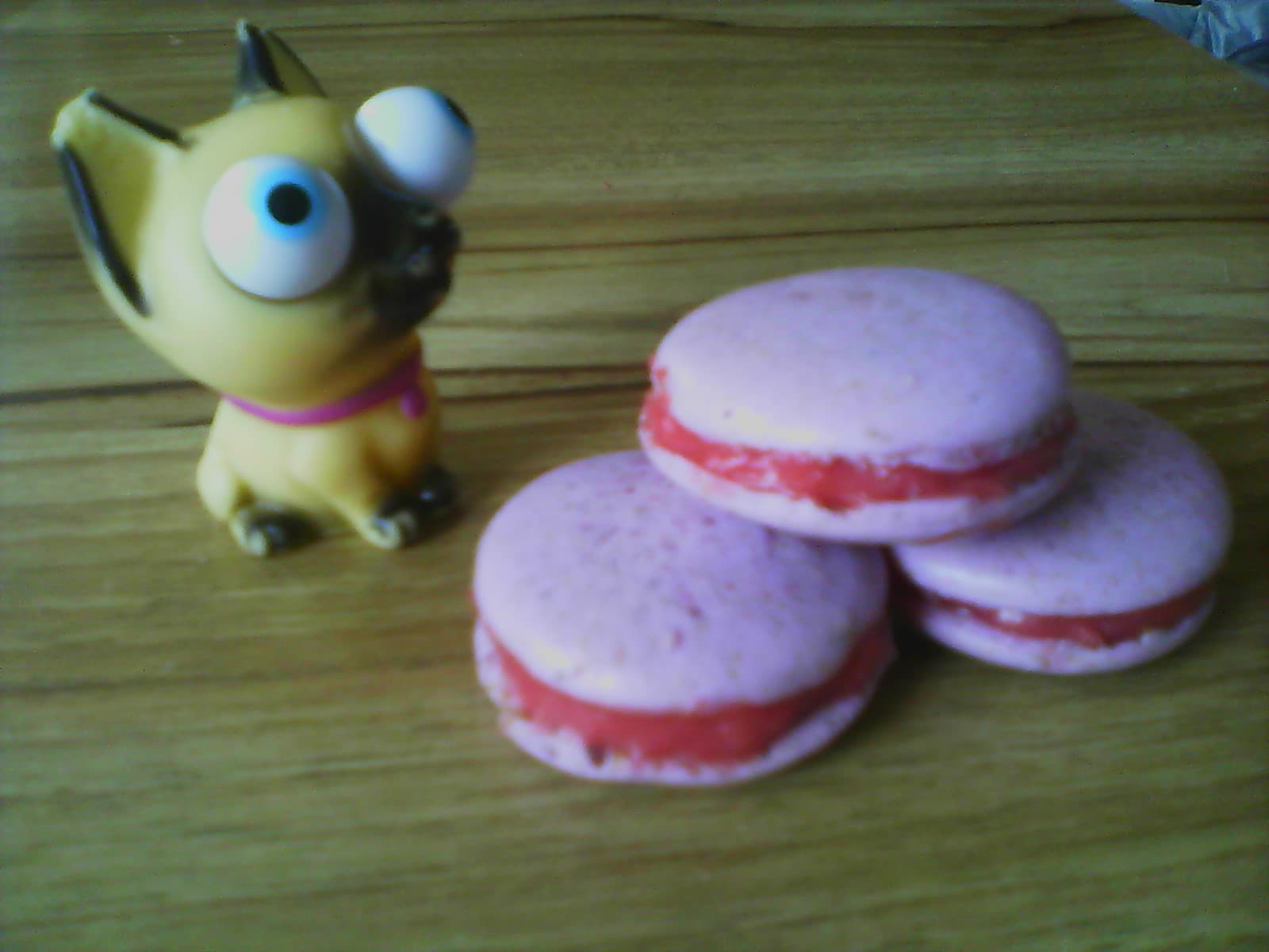 Macarons
