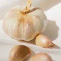 Tempero de Alho