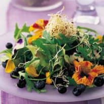 Salada de Folhas com Flores e Mirtilo