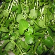 Receitas com Agrião