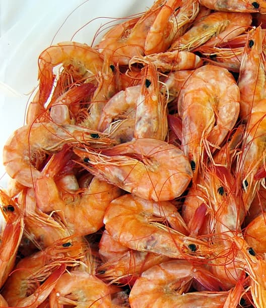 Receitas de Camarão