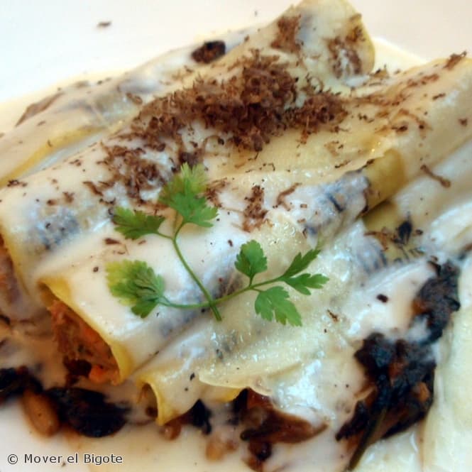 Receitas de Canelone