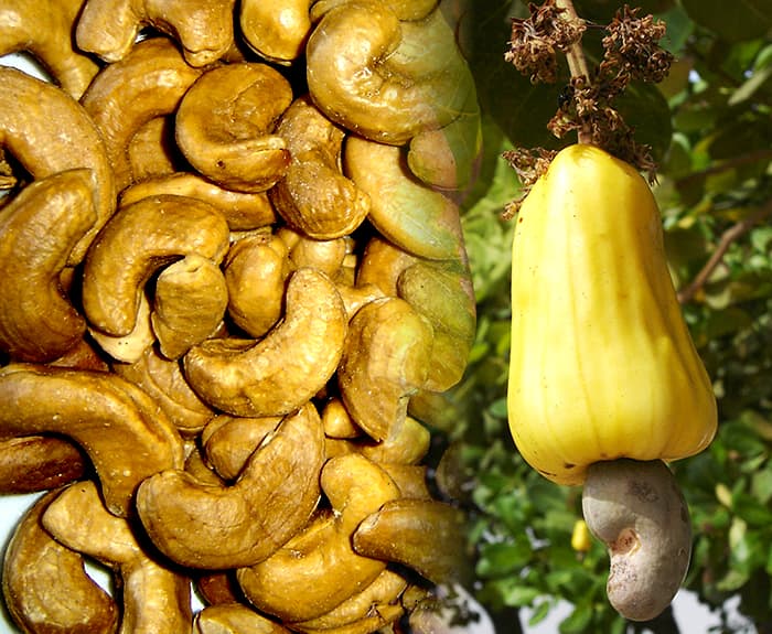 Receitas com Castanha de Caju