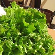 Receitas com Escarola