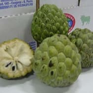 Receitas com Fruta do Conde