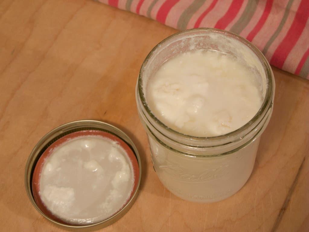 Receitas com Kefir