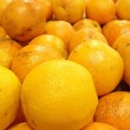 Receitas com Laranja
