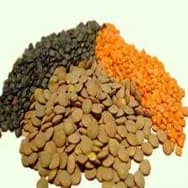 Receitas com Lentilha