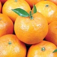 Receitas com Mexerica