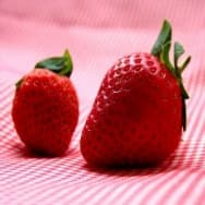 Receitas com Morango