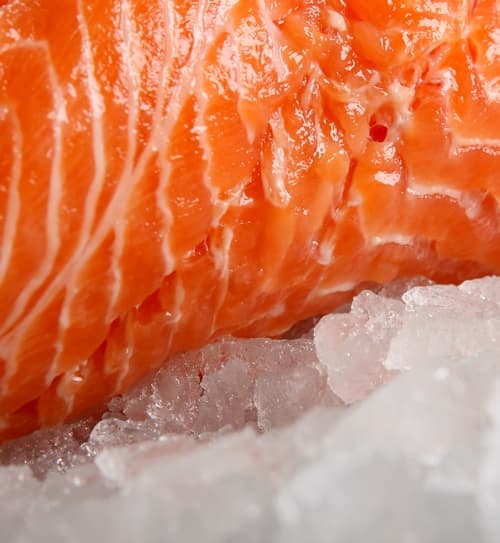 Receitas de Peixes e frutos do mar