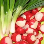 Receitas com Rabanete