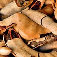 Receitas com Tamarindo