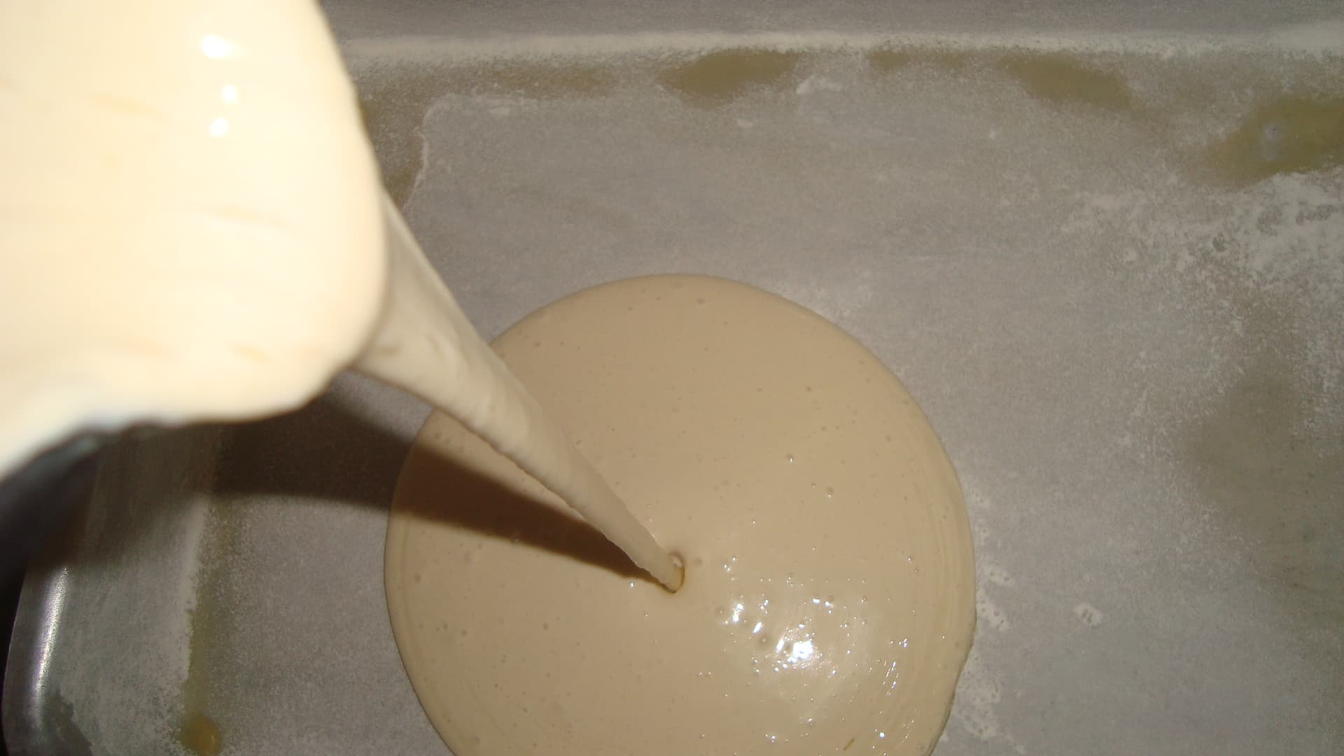 Foto por Eliane S. Honorio