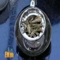 Chá emagrecedor e rejuvenecedor do Hoje em Dia